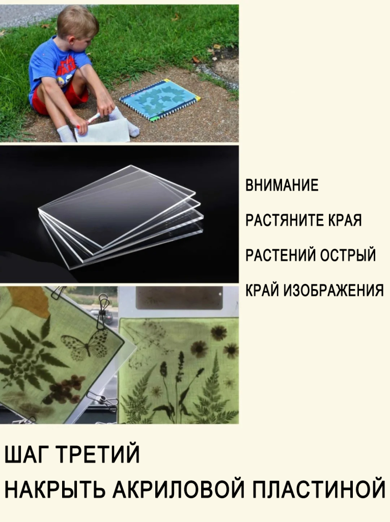 太阳印刷自然艺术4