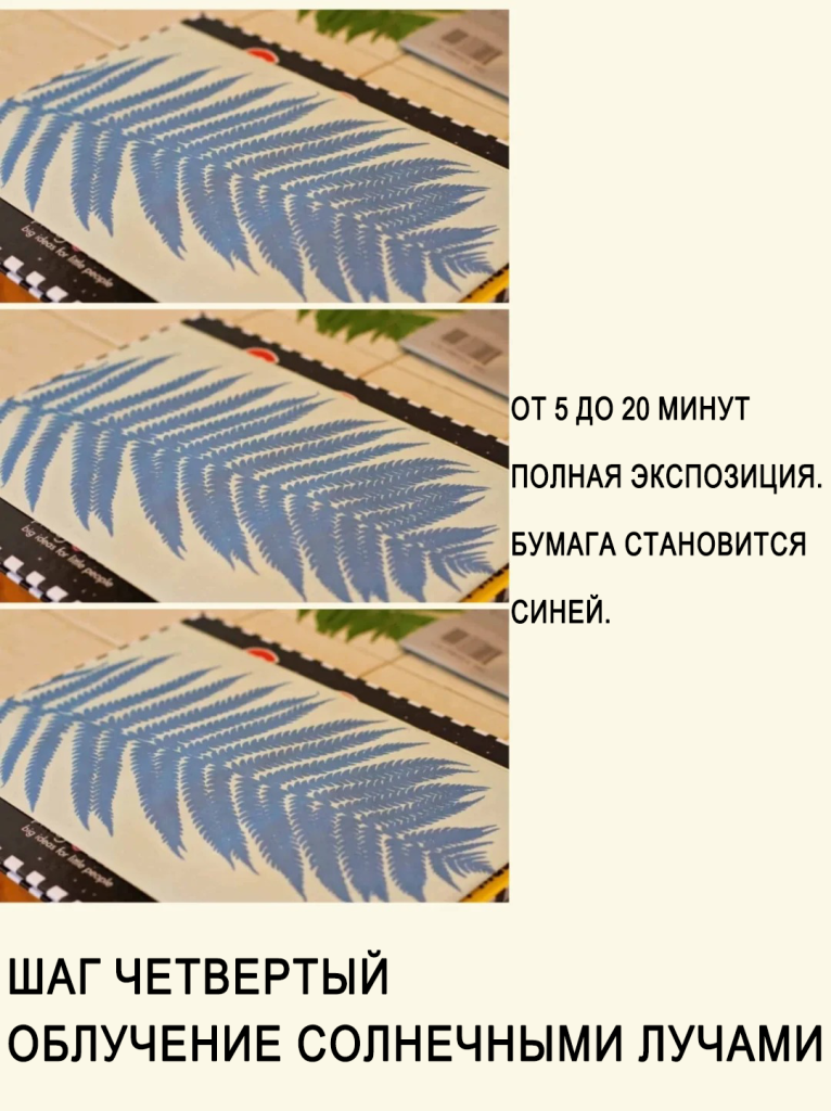 太阳印刷自然艺术5