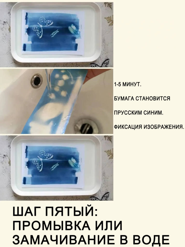 太阳印刷自然艺术6