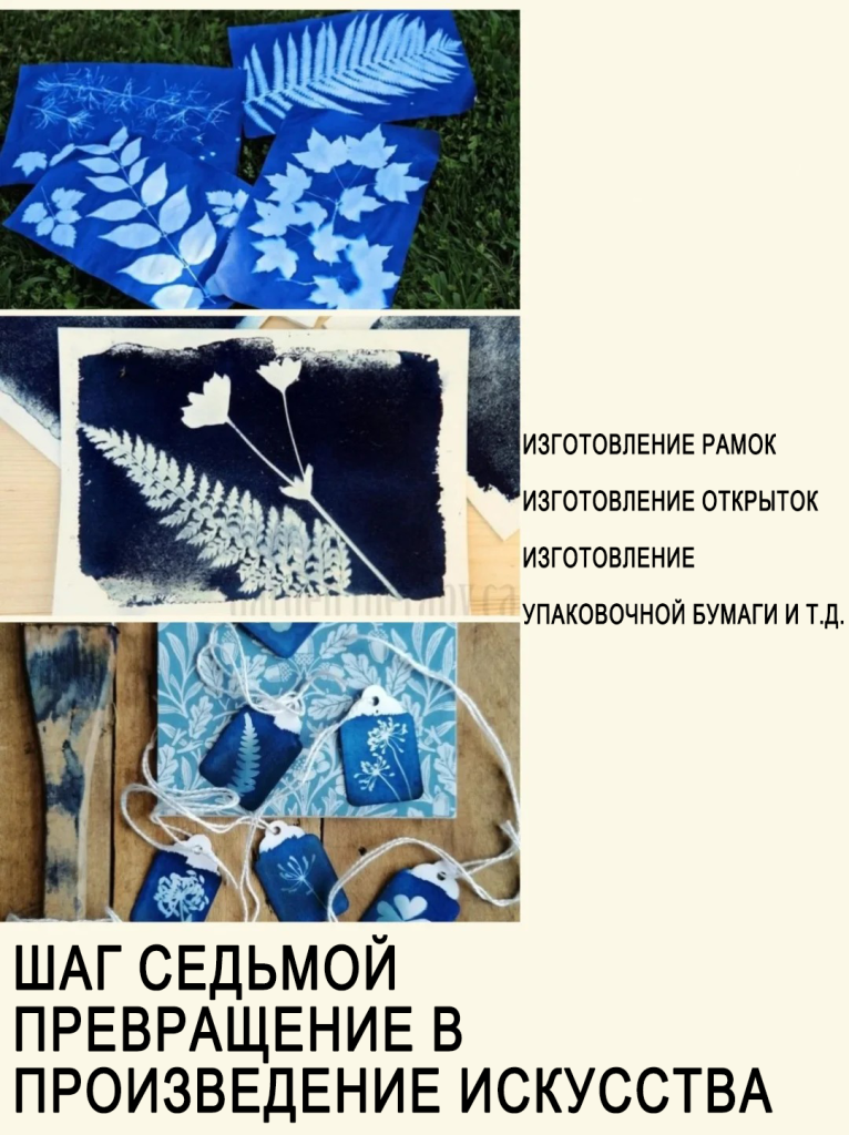 太阳印刷自然艺术8